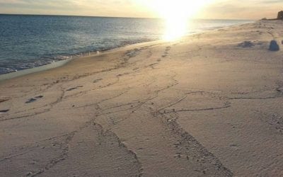 White Sands