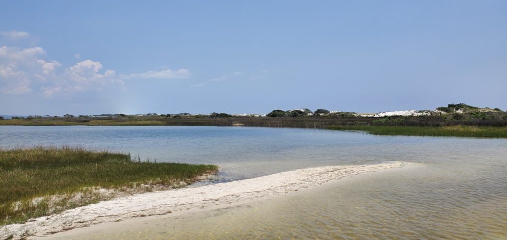 tide pool